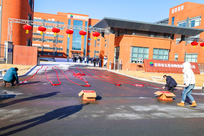 69a7cdafec26e.jpg a1.jpg