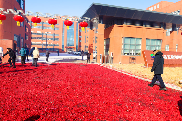 69a7cdc0c4cca.jpg A5.jpg