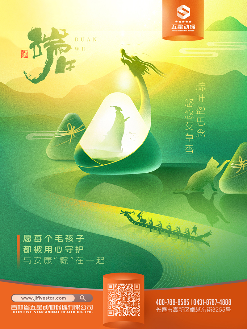 微信端午节海报图.jpg